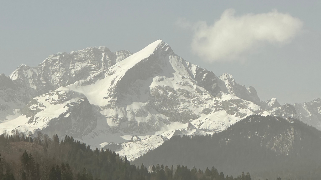 Step Outside Hoody - Earth Brown - Aweactive